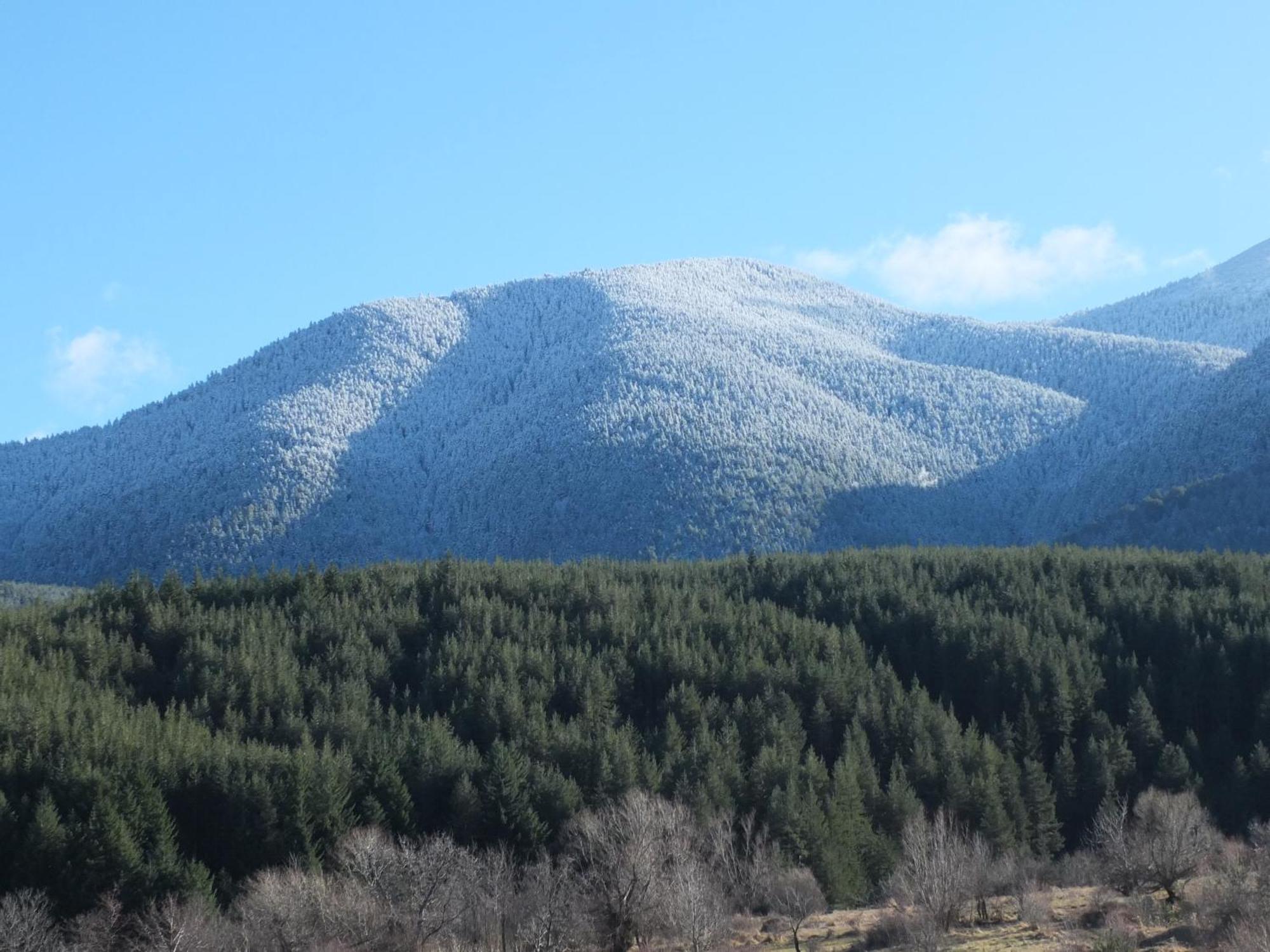 Pirin Heights A-21 Близо До Ски Пистата 반스코 외부 사진